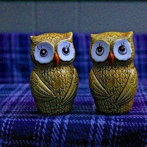 Japan Ceramic Owl Salt and Pepper Shakers